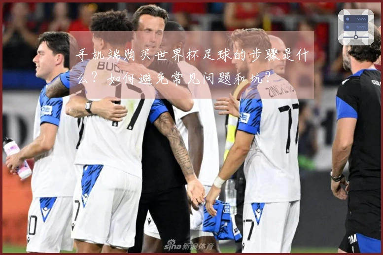手机端购买世界杯足球的步骤是什么？如何避免常见问题和坑？