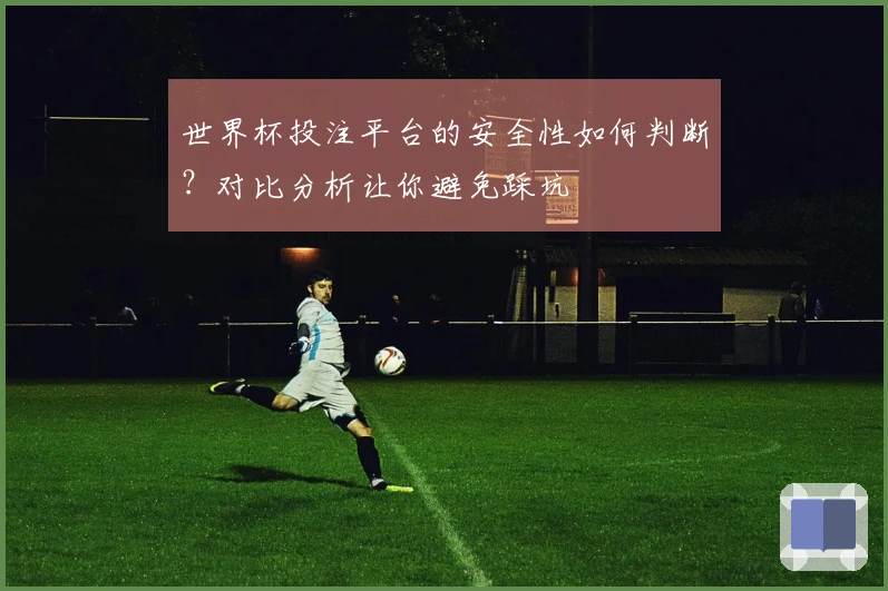 世界杯投注平台的安全性如何判断？对比分析让你避免踩坑