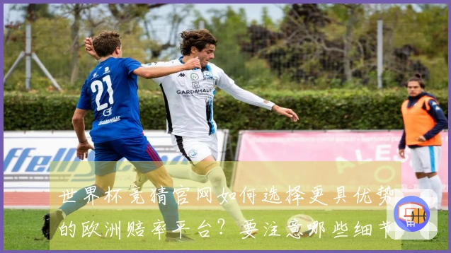 世界杯竞猜官网如何选择更具优势的欧洲赔率平台？要注意哪些细节？