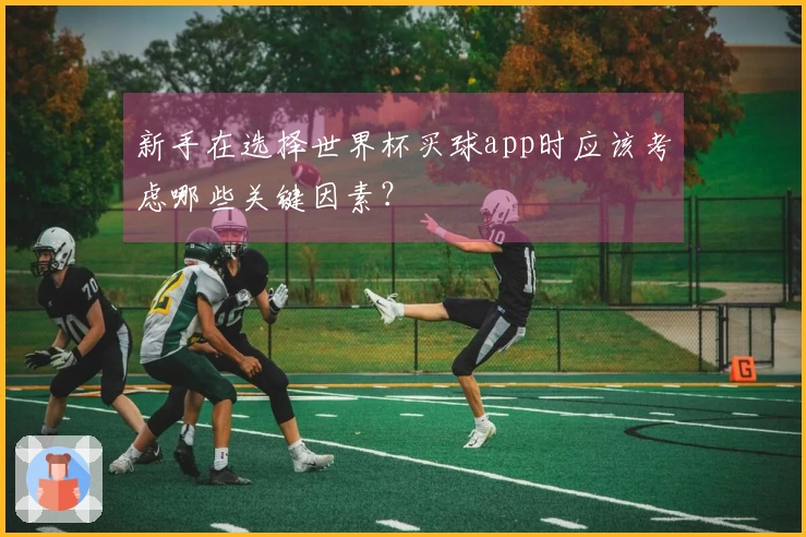 新手在选择世界杯买球app时应该考虑哪些关键因素？